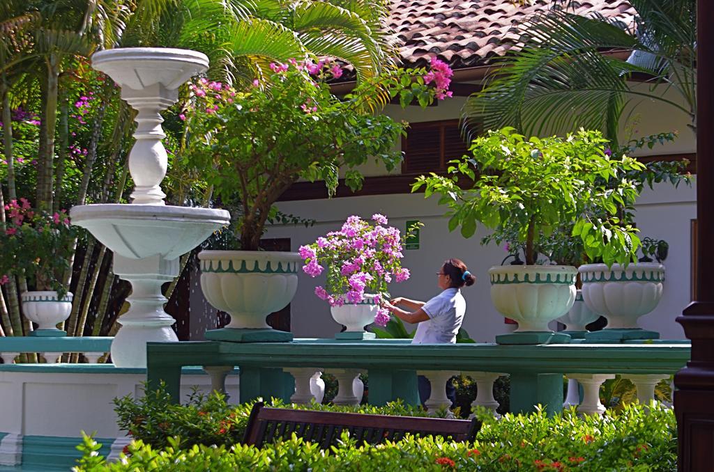Hotel Dario グラナダ エクステリア 写真
